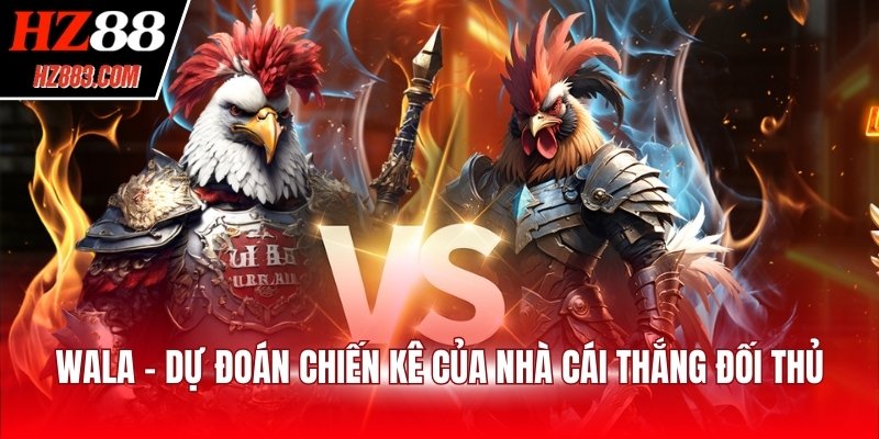 Wala - Dự đoán chiến kê của nhà cái thắng đối thủ